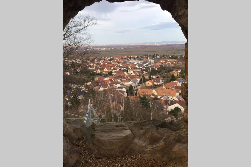 Wunderschoene Wohnung Mit Blick Auf Die Weinberge Neustadt an der Weinstraße Exteriér fotografie