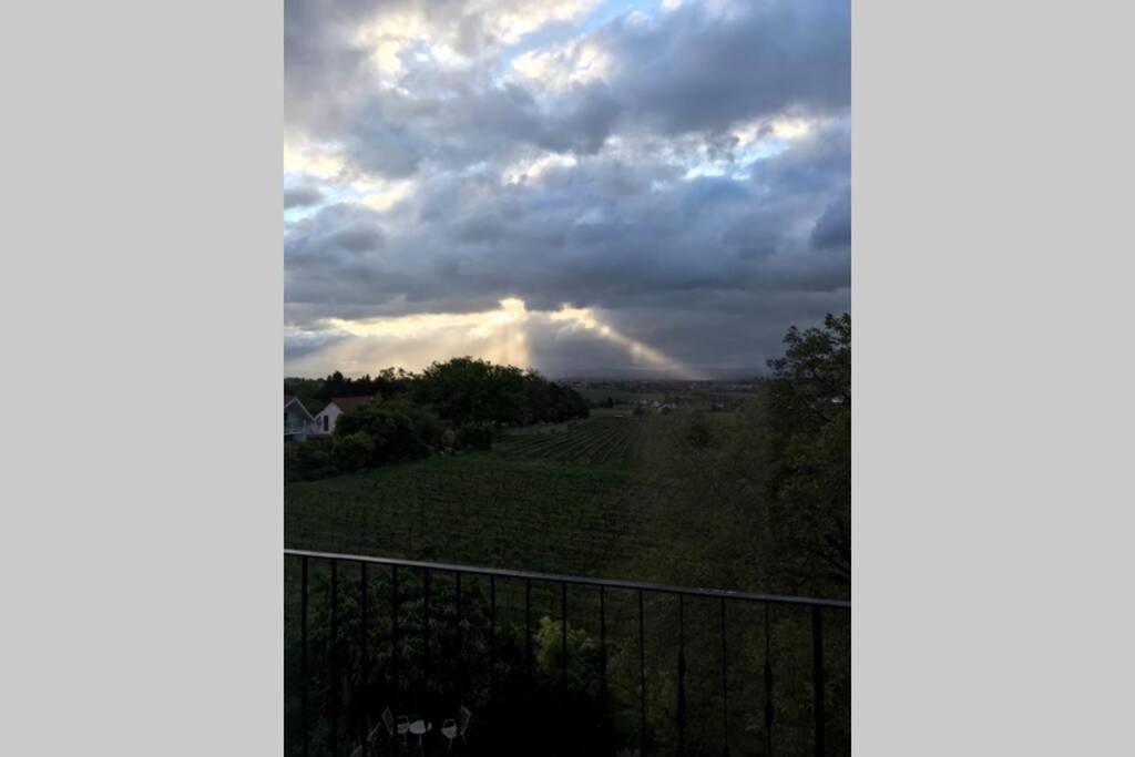 Wunderschoene Wohnung Mit Blick Auf Die Weinberge Neustadt an der Weinstraße Exteriér fotografie