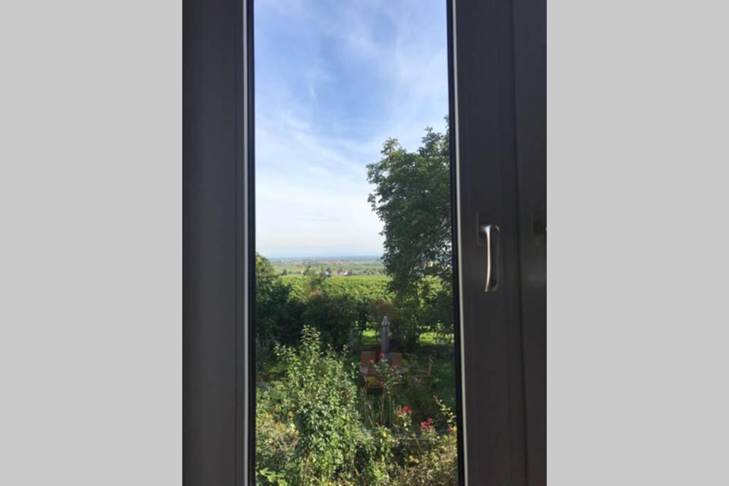 Wunderschoene Wohnung Mit Blick Auf Die Weinberge Neustadt an der Weinstraße Exteriér fotografie